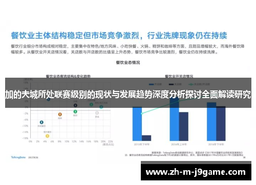 加的夫城所处联赛级别的现状与发展趋势深度分析探讨全面解读研究 加的夫城所处联赛级别的现状与发展趋势深度分析探讨全面解读研究