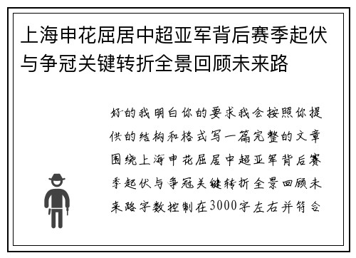 上海申花屈居中超亚军背后赛季起伏与争冠关键转折全景回顾未来路