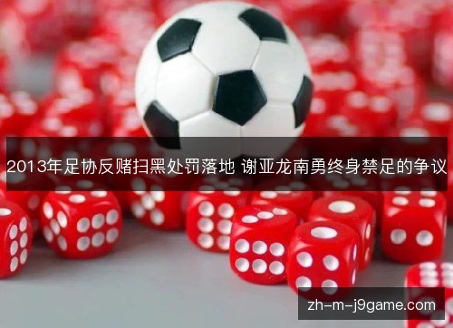 2013年足协反赌扫黑处罚落地 谢亚龙南勇终身禁足的争议